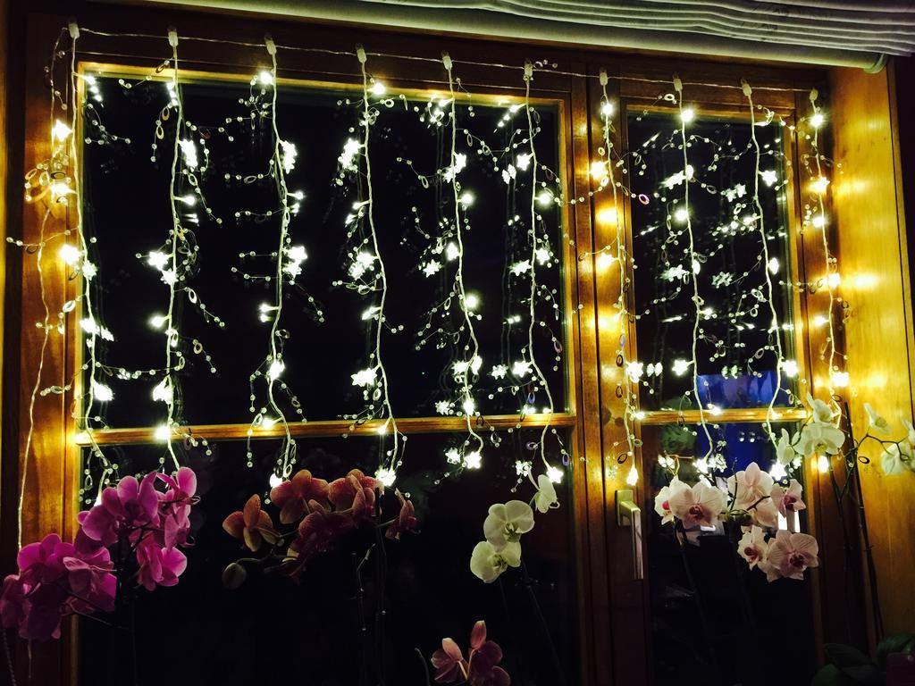 Kluisbergen B&B Kookhai المظهر الخارجي الصورة